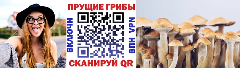 Галлюциногенные грибы ЛСД  Сим 